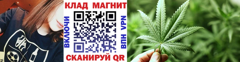 МЕФ Орск