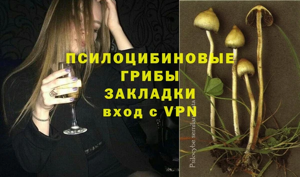 гашик Алексеевка