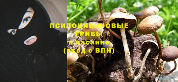 каннабис Абинск