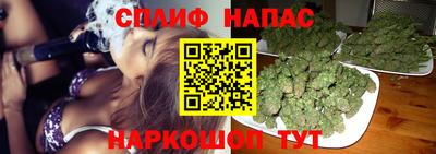герыч Гагарин