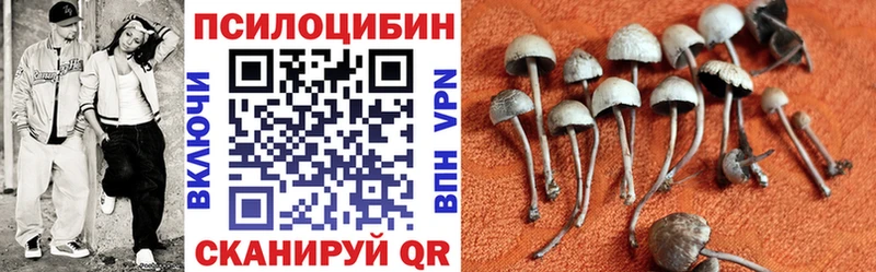 MEGA вход  Орск  Псилоцибиновые грибы мухоморы 